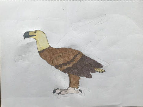 Project Primordial: Haasts Eagle