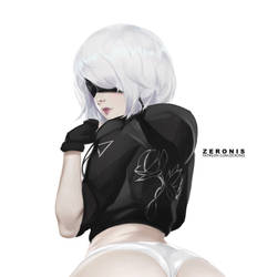 2B -Pinup crop