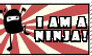 I Am A Ninja