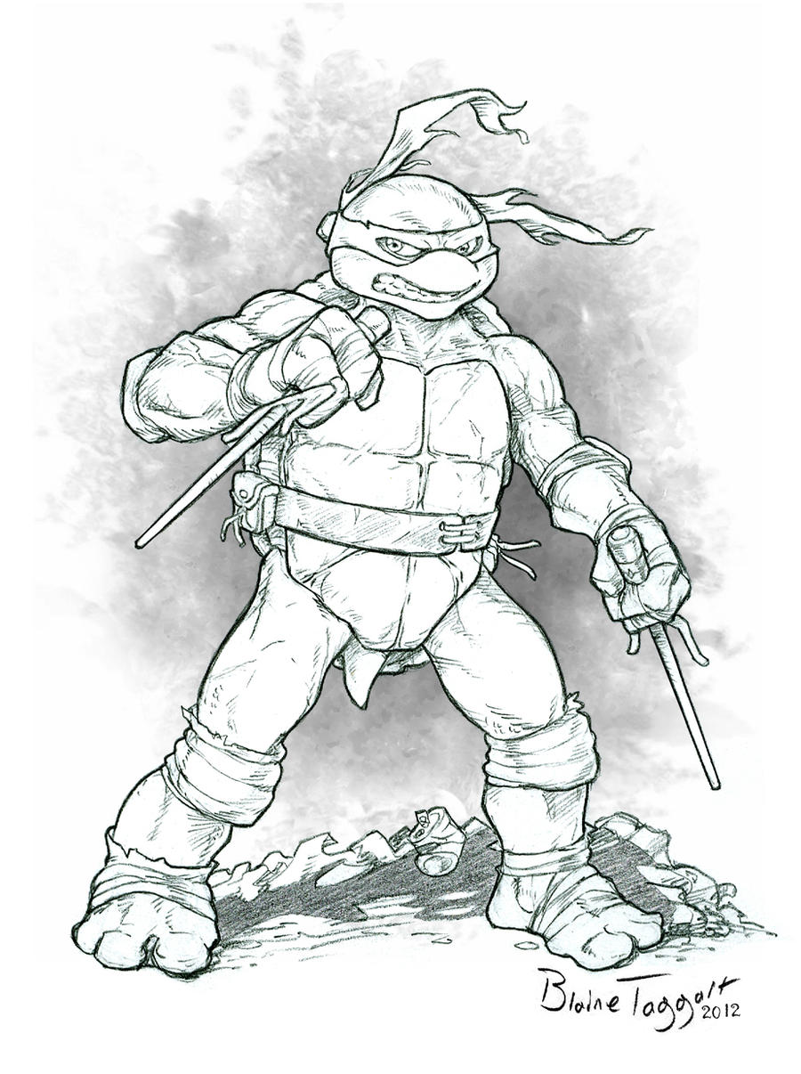 Raphael the Ninja Turtle