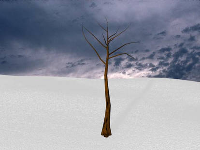 Lone tree winter scene