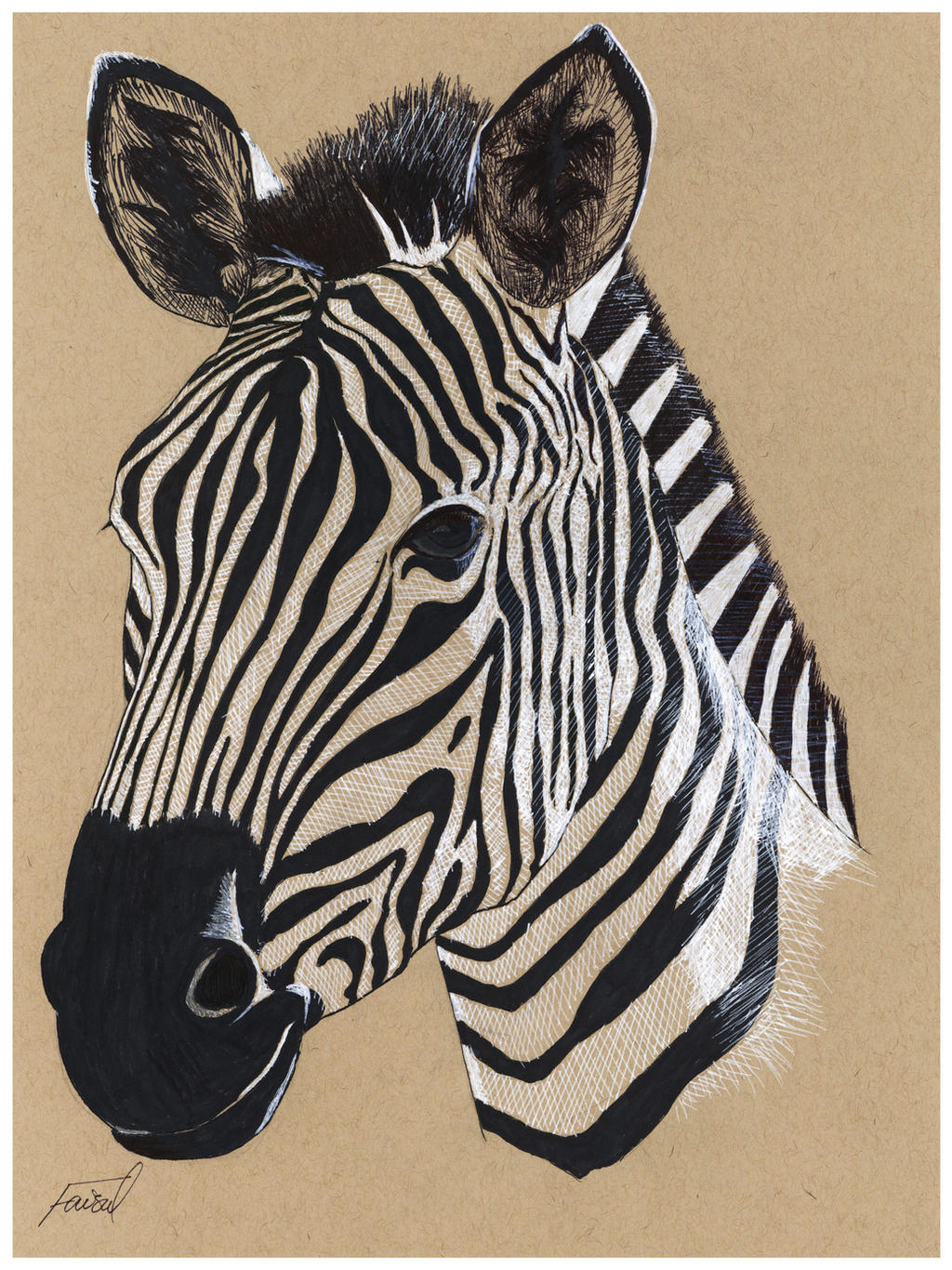 Zebra Portrait