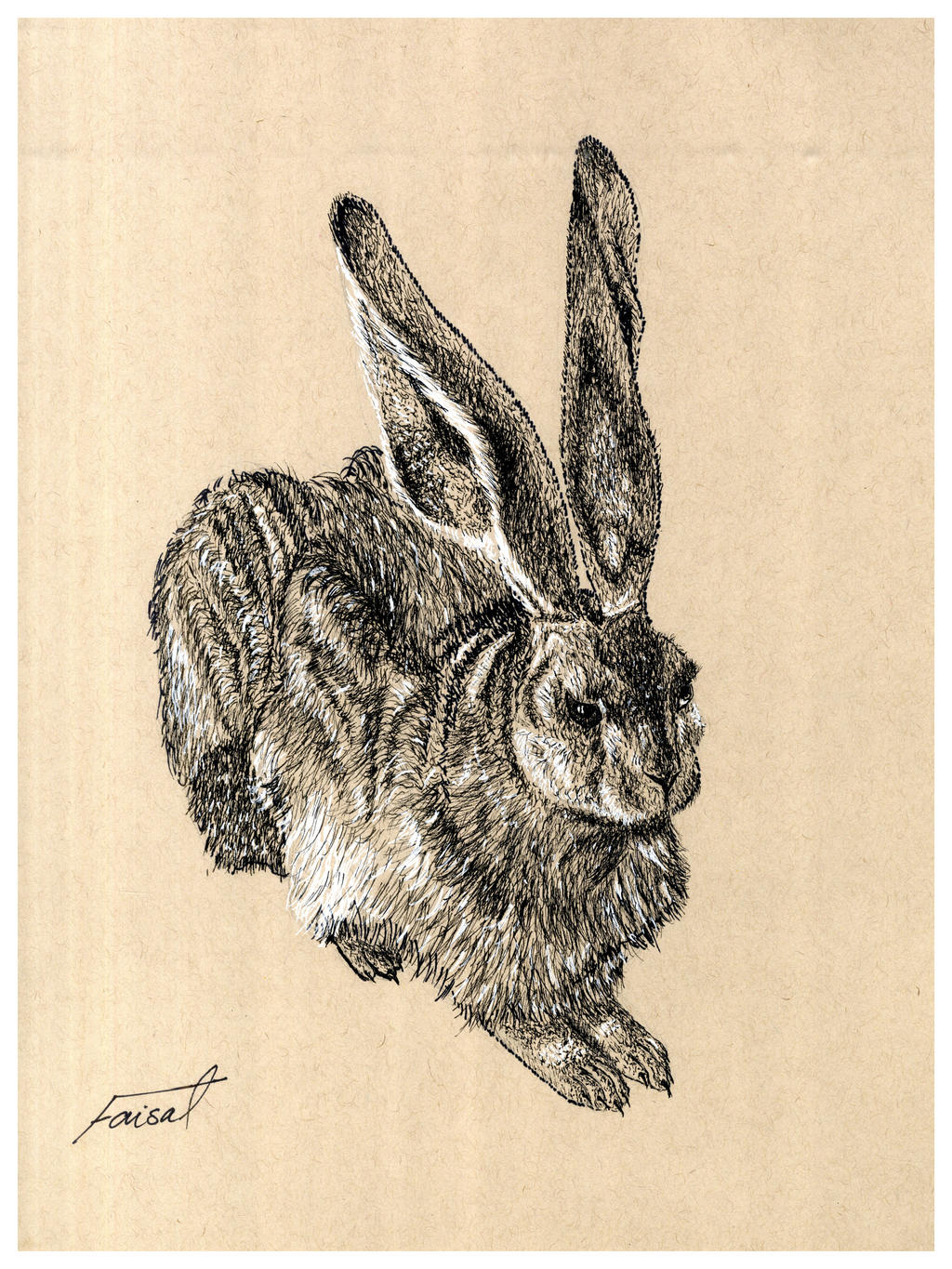 Hare