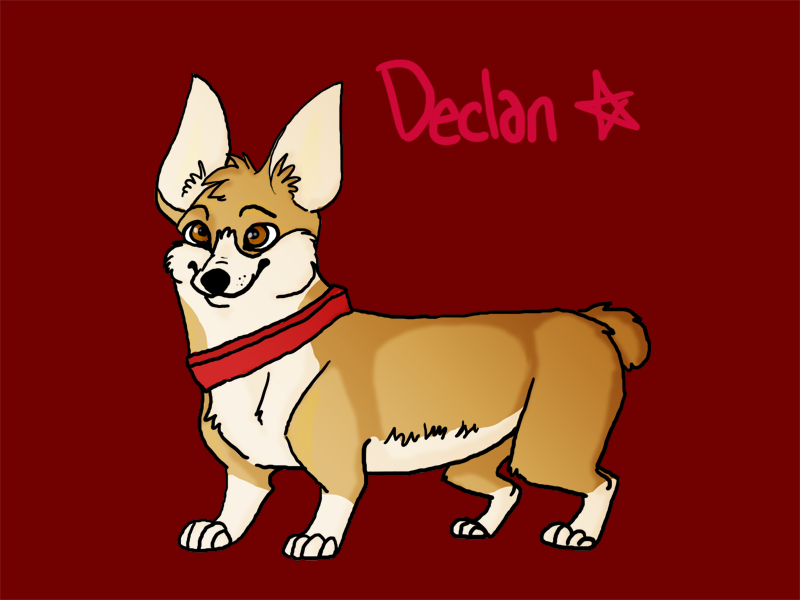 ::declan is a corgi plz