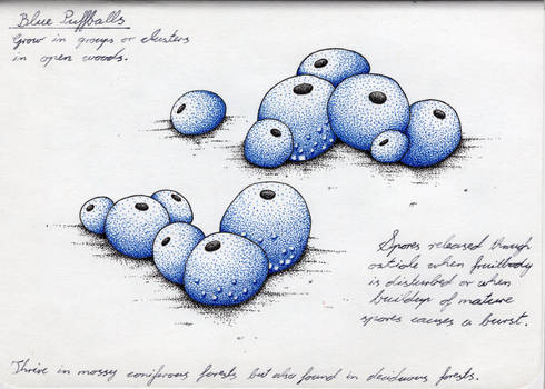 Blue Puffballs