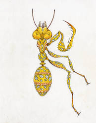Yellow mantis ant