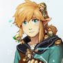 BOTW Link and other Links