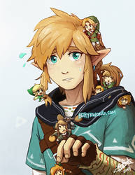 BOTW Link and other Links