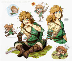 Wild Link