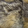 Fur Texture 2