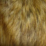 Fur Texture 40