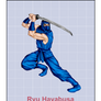 Cromy Family Game D2 Ryu Hayabusa