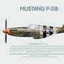 P51B Mustang Old Crow with bg displate