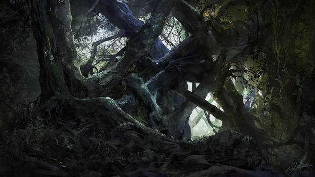 Intertwined Forest