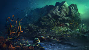 Coral Rock