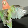 Dancing Birdie