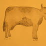 MOO cow