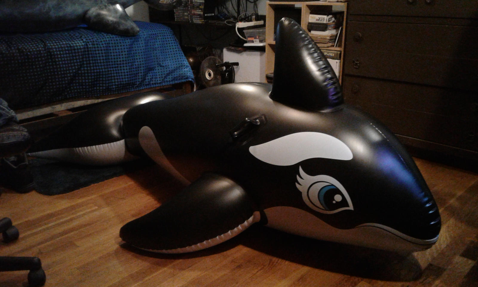 Inflatable Orca Riding Intex inflatable Ride on Orca by Sabre471 on DeviantArt
