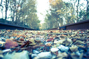 Train Tracks