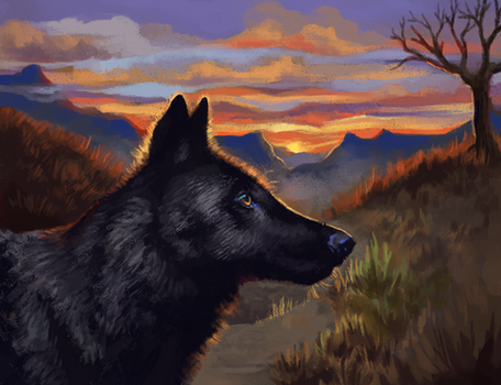 Wolf In The Dusk