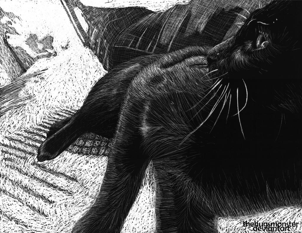 Cat scratchboard