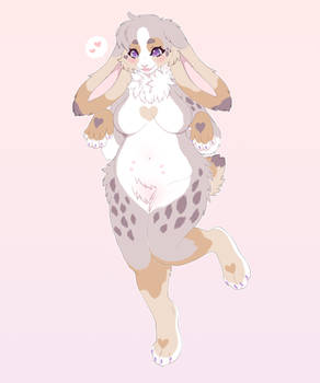 lop bunny adopt