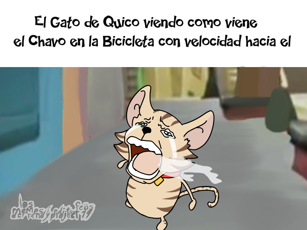 Meme Chistoso del Gato de Quico by randyproject on DeviantArt Meme Chistoso del Gato de Quico by randyproject on DeviantArt