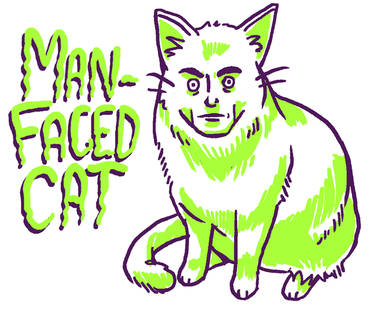 MAN-FACED CAT