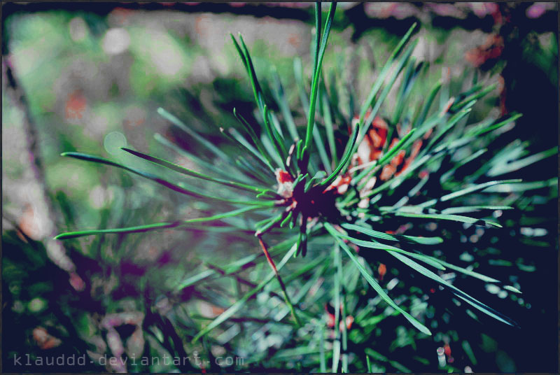 fake plastic tree.