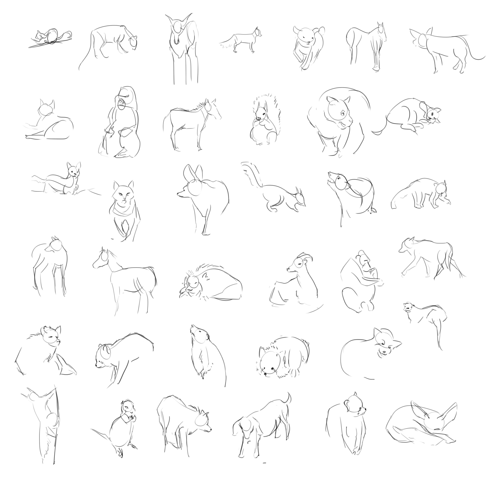 Animal Gesture Drawing by Pear-tree on DeviantArt