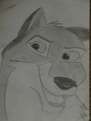 Balto sketch