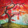 Autumn tree