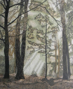 Forest Pen and Ink
