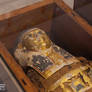 An old egyptian mummy