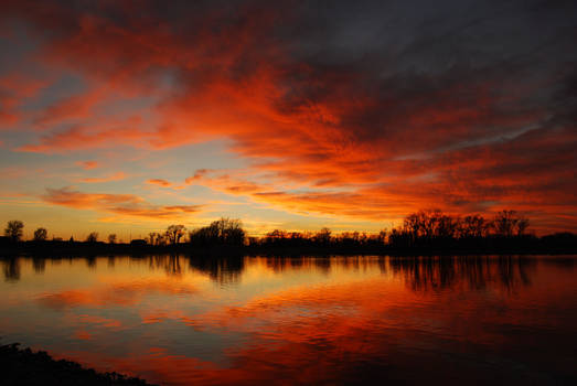 Reflections Of Red