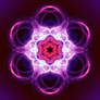 Purple Flower Mandala (2011)