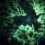 Green and Blue Nebula (2012)