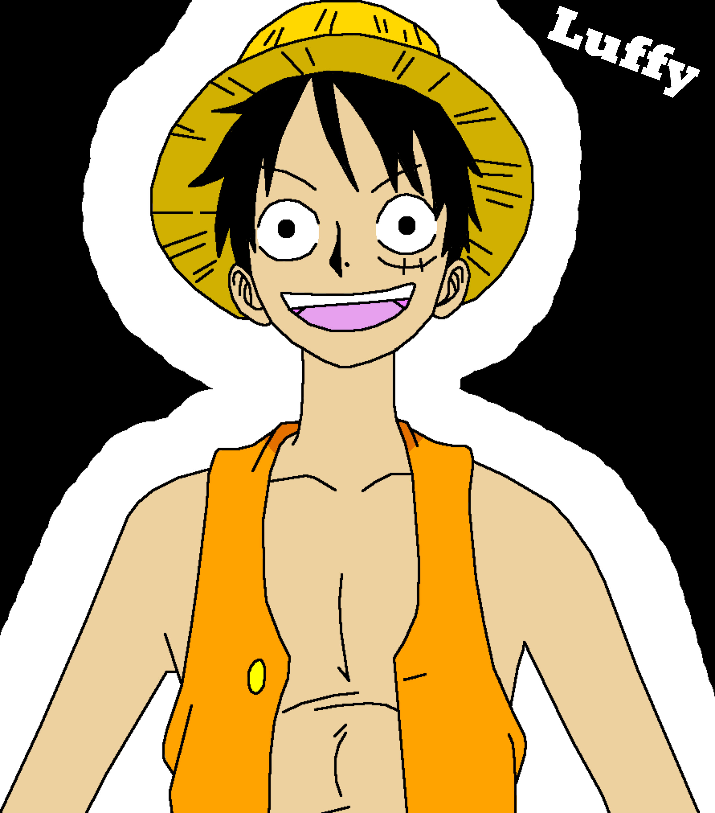 Monkey D Luffy