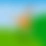 _runrunrun_