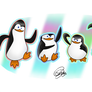 Rainbow penguins