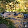 Tranquil Oak Creek