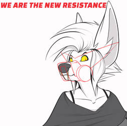 WE ARE THE NEW RESISTANCE