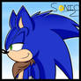 Sonic Boom Icon (Sonic)