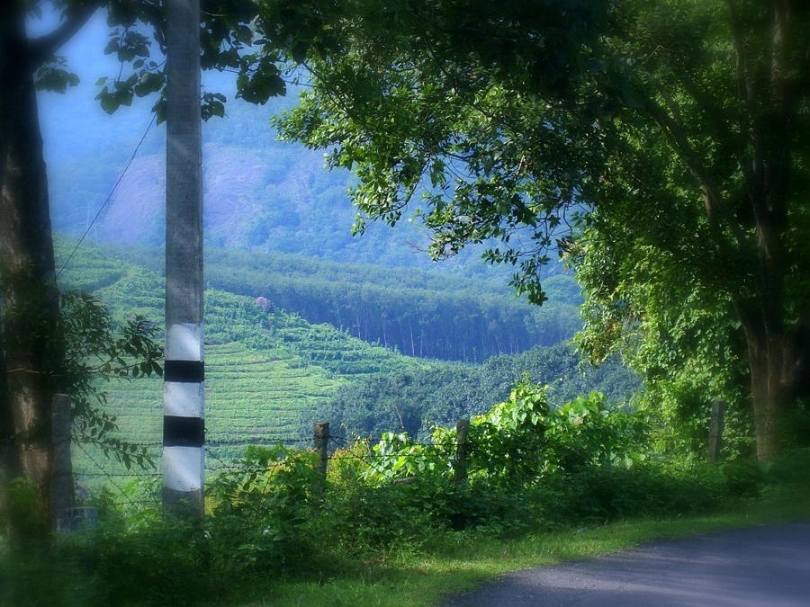 a ride through the mountains