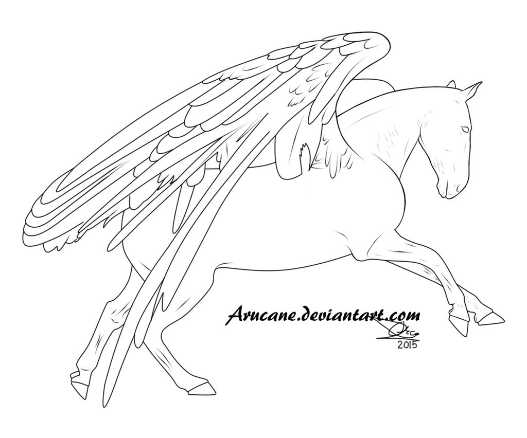 Andalusian Peggie Lineart