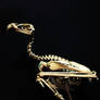 Stock - Skeleton bird