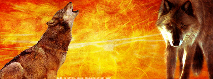 Wolves- Free Facebook Timeline Banner