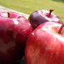 Three Apples3