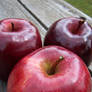 Three Apples5