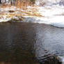 Winter Scape051